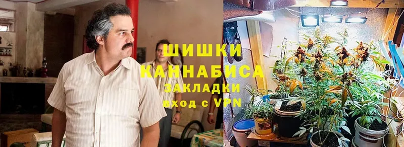 Шишки марихуана OG Kush  купить закладку  Вытегра 